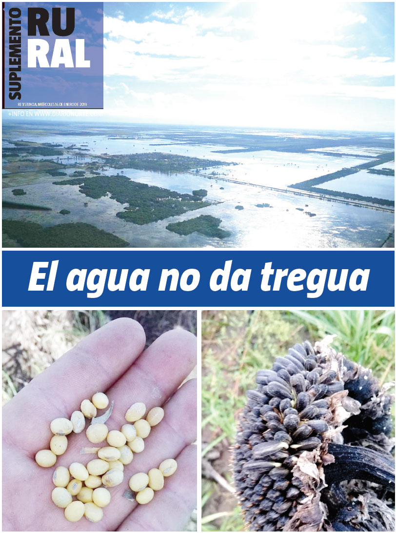 El agua no da tregua