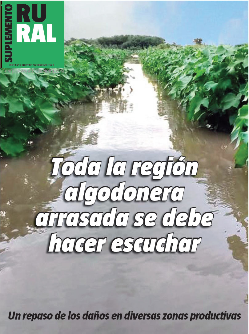 Toda la región algodonera arrasada se debe hacer escuchar