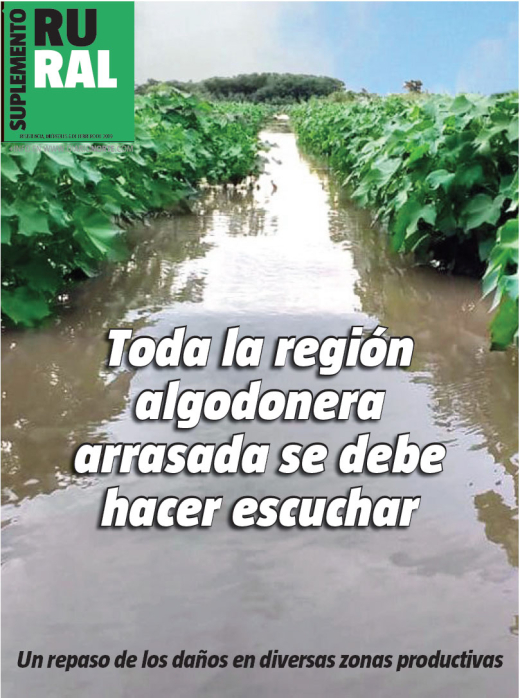 Toda la región algodonera arrasada se debe hacer escuchar