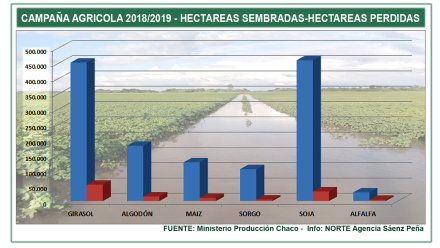 Cuadro Informe campaña.jpg