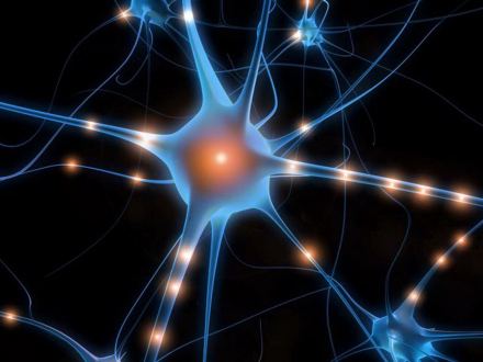 neuronas.jpg