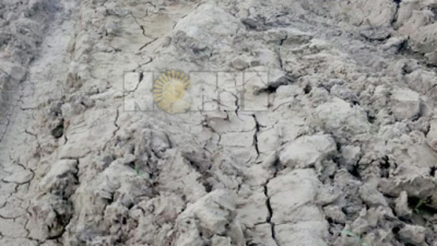 Arreglarán 120 kilómetros de caminos rurales destruidos