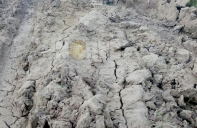 Arreglarán 120 kilómetros de caminos rurales destruidos