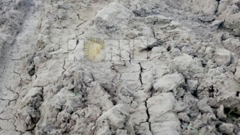 Arreglarán 120 kilómetros de caminos rurales destruidos