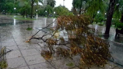Fuerte tormenta eléctrica en Resistencia: las ráfagas de viento alcanzaron los 88 km/h