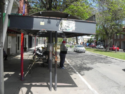 colectivos.jpg