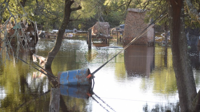 Emergencia hídrica: en el sudoeste la situación es asfixiante y las pérdidas millonarias