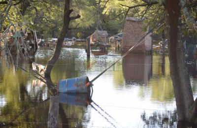 Emergencia hídrica: en el sudoeste la situación es asfixiante y las pérdidas millonarias