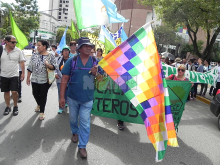 acampe3.jpg