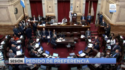 El Senado trata el proyecto de financiamiento político