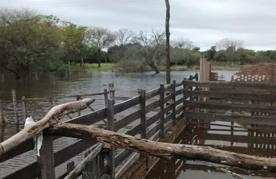 Inundaciones: Piden asistencia para pequeños productores que perdieron todo