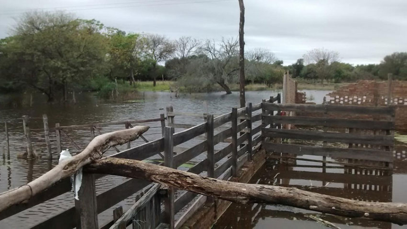 Inundaciones: Piden asistencia para pequeños productores que perdieron todo