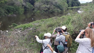 Avistaje de aves en fin de semana