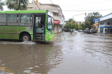 cole lluvia Rcia.jpg