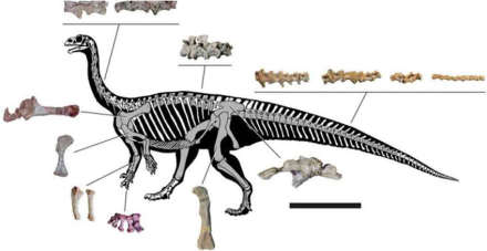 dino.jpg