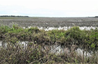 Emergencia hídrica: reiteran cómo será la asistencia para productores afectados