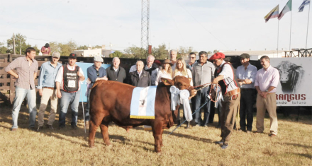 GRANCAMPEON3.jpg
