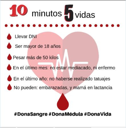 donacion medula 2.JPG