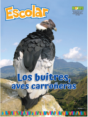 Los buitres, aves carroñeras