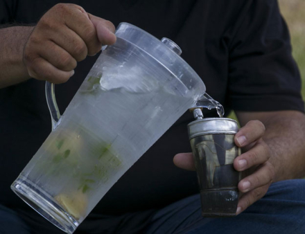 terere.jpg