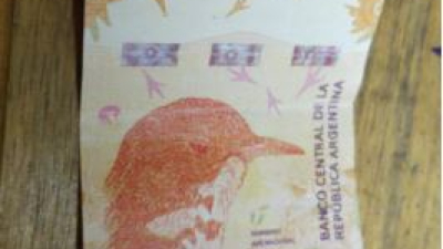 Advierten sobre la circulación de billetes falsos de 1000 pesos