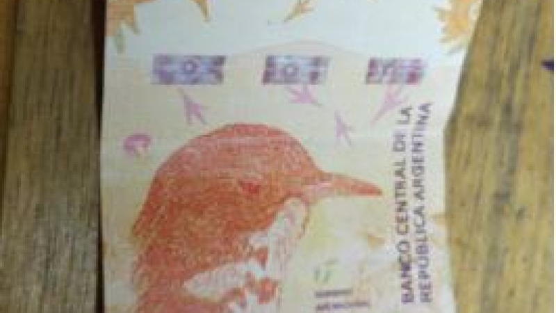 Advierten sobre la circulación de billetes falsos de 1000 pesos