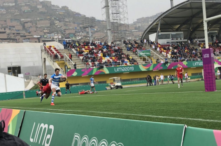 pumas3.jpg