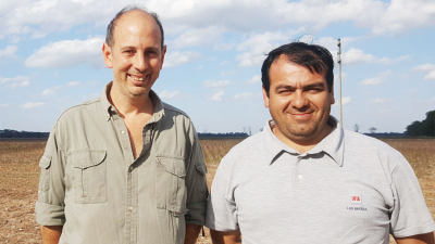 Exceso hídrico y algodón: se pierde calidad, pero el cultivo sigue mostrando su poder de compensar