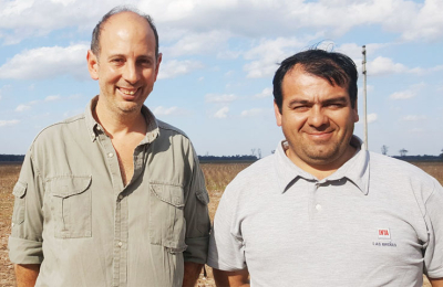 Exceso hídrico y algodón: se pierde calidad, pero el cultivo sigue mostrando su poder de compensar