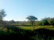 paraje.jpg