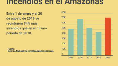 Récord de incendios en la selva amazónica