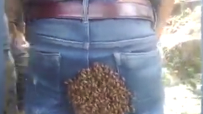 Abejas confundieron al trasero de un hombre con su colmena ??