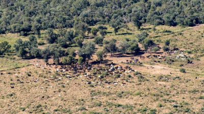 El aumento de la temperatura es solo el principio de muchos otros cambios