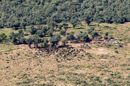 ecoregion chaqueña.jpg