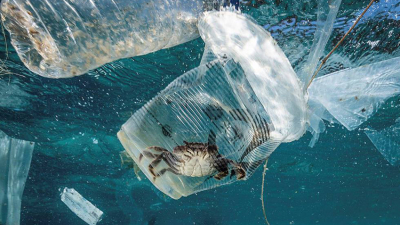 Adolescente ganó la feria de ciencia de Google por un proyecto que elimina los microplásticos del agua