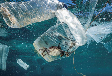 microplasticos.jpg