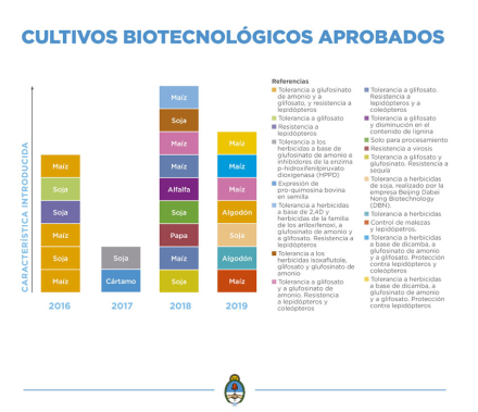 IMAGEN.jpg