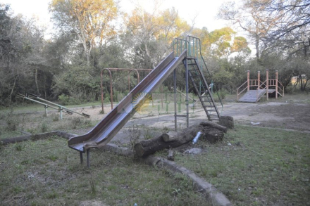 caraguata2.jpg