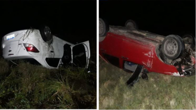 Siniestro vial en la ruta 11 por la presencia de un animal suelto