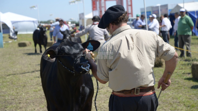 Agronea Ganadera: Mostrando el potencial y los desafíos del norte argentino en la ganadería