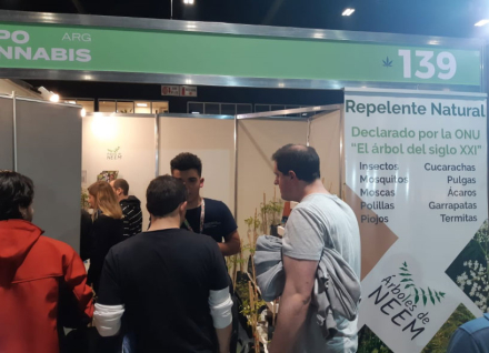cultivo.jpg
