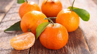 Investigadores de la universidad platense buscan bajar el colesterol con la mandarina