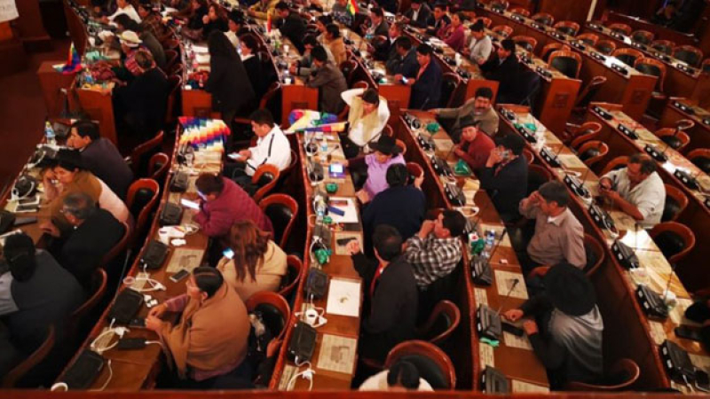 Bolivia: los diputados del MAS lograron quórum y nombraron nuevo presidente de la Cámara
