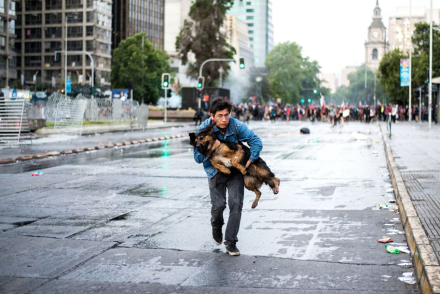 con-perro.jpg