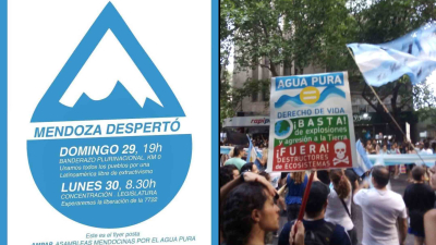 Mendoza realizó un “Banderazo” para acompañar la derogación de la ley 9.209