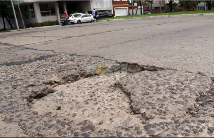 bache 3.JPG