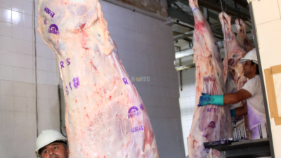 Después de fin de año bajó abruptamente el consumo de la carne