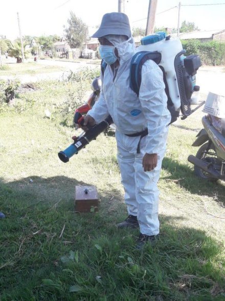 dengue2.jpg