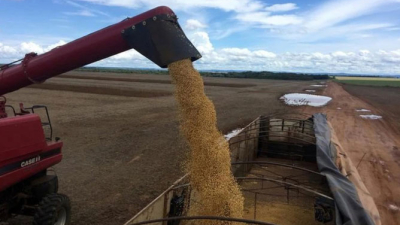 Retenciones: Crece la tensión entre el campo y el Gobierno nacional