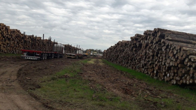 Coronavirus: frenan exportaciones de rollos de madera desde Corrientes a China